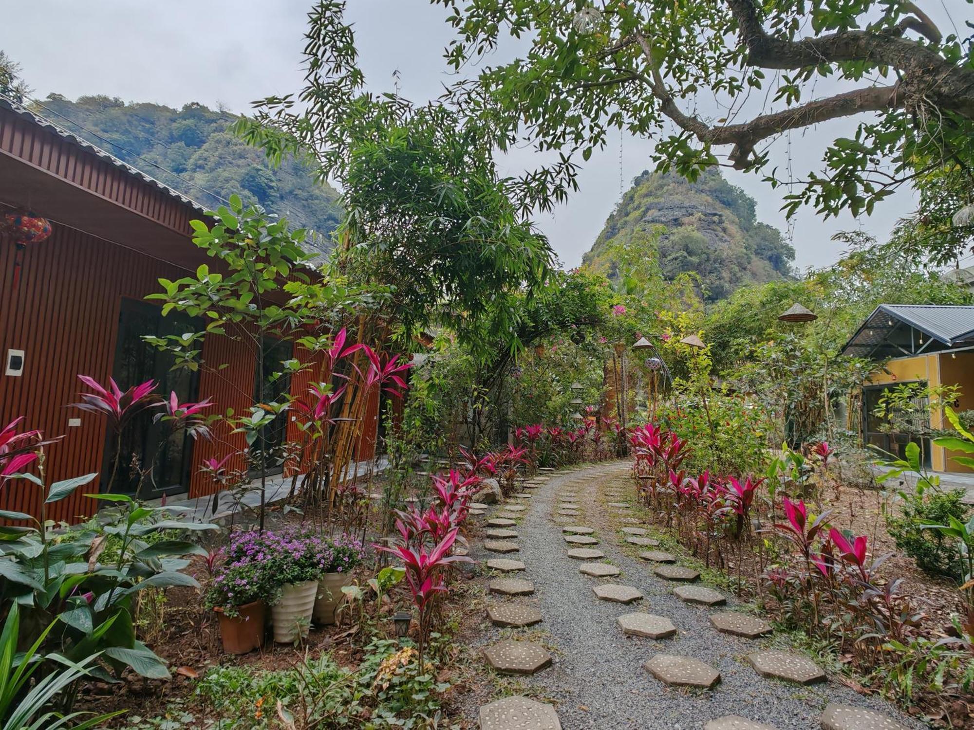 Green Valley Homestay - Thung Lung Xanh Nguyen Ngoai Esterno foto