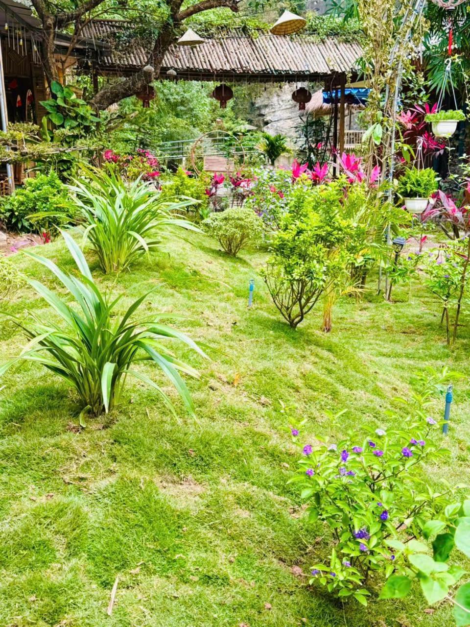 Green Valley Homestay - Thung Lung Xanh Nguyen Ngoai Esterno foto