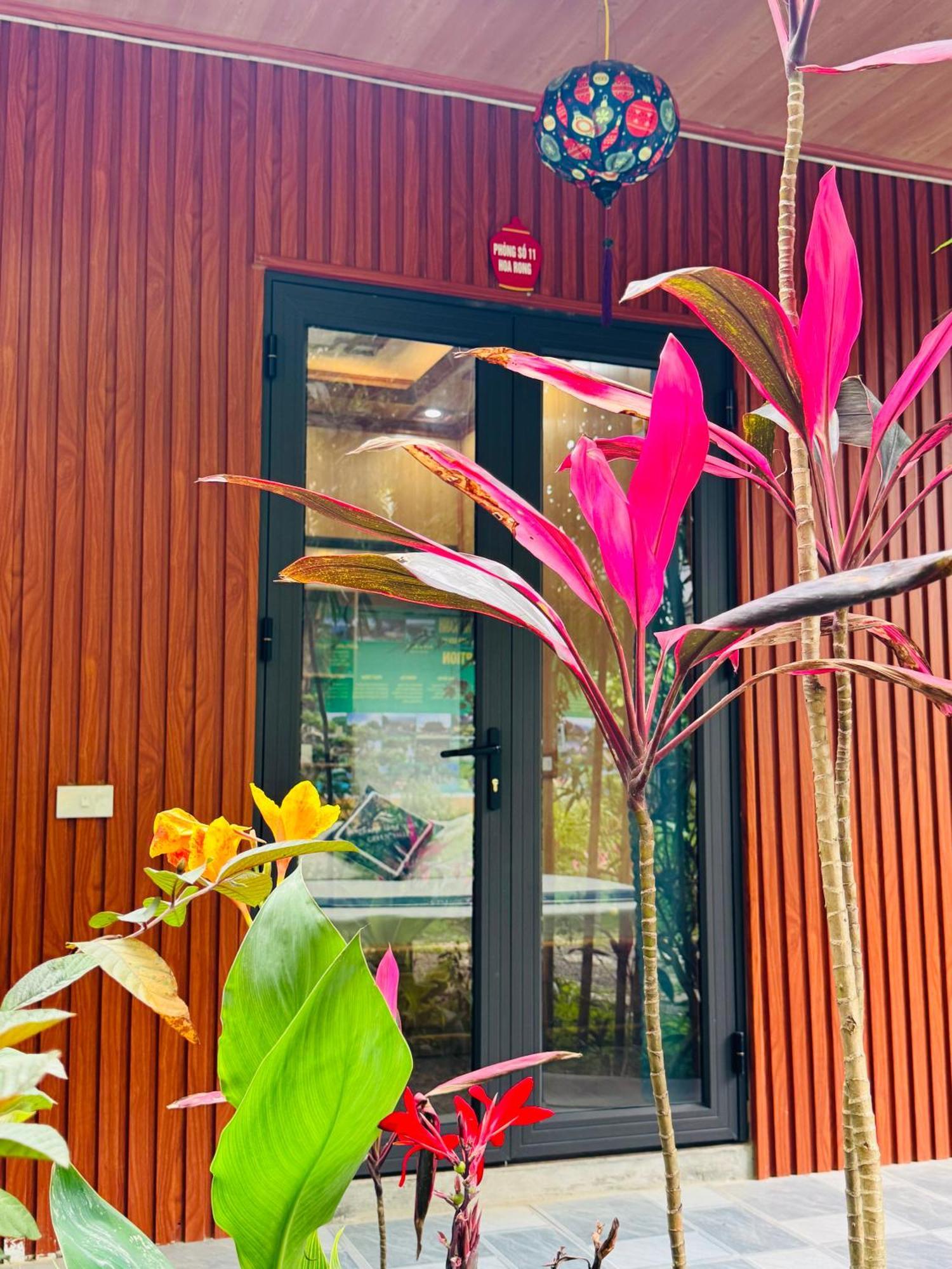 Green Valley Homestay - Thung Lung Xanh Nguyen Ngoai Esterno foto
