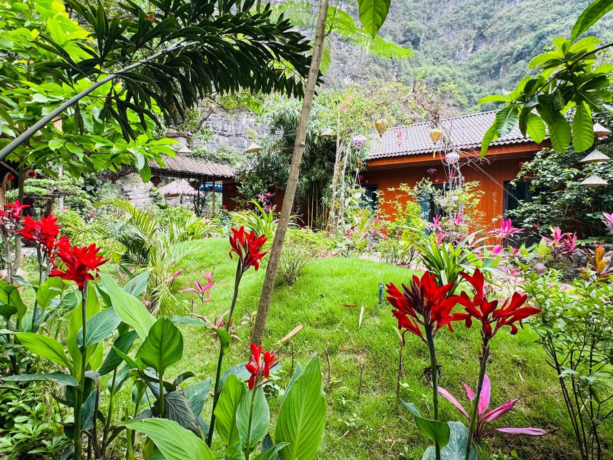 Green Valley Homestay - Thung Lung Xanh Nguyen Ngoai Esterno foto